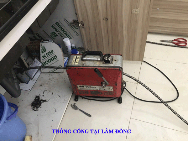 thong-cong-tai-lam-dong