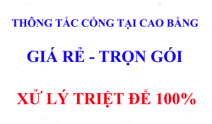 thong-tac-cong-tai-cao-bang