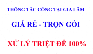 thong-tac-cong-tai-gia-lam