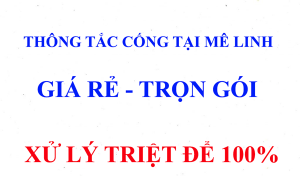 thong-tac-cong-tai-me-linh